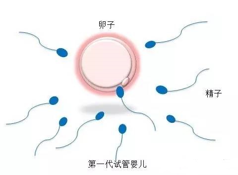 关于助孕全国招募孕妈志愿者